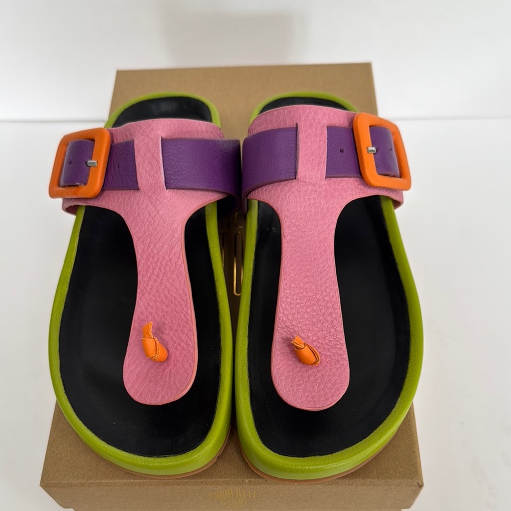 Charlotte stone Multicolor Sandals with Buckle  NIB